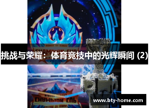 挑战与荣耀：体育竞技中的光辉瞬间 (2)
